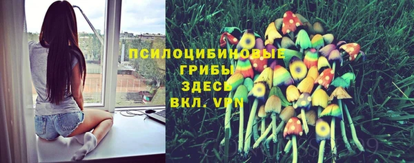 бошки Карпинск