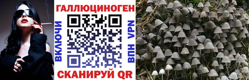 Галлюциногенные грибы Psilocybe  мега зеркало  Невинномысск 